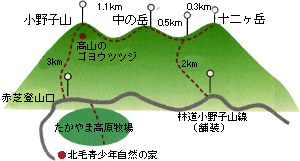 小野子山、十二ヶ岳